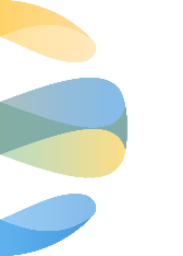 elemento decorativo socio